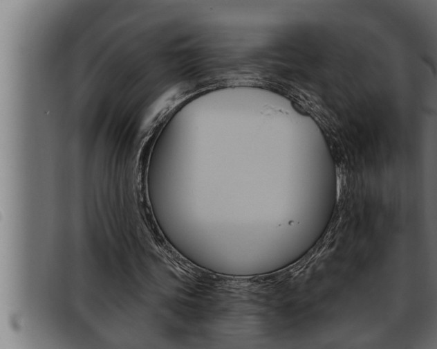 X0000093470339200710121015