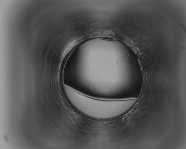 X0000093470340200710121015