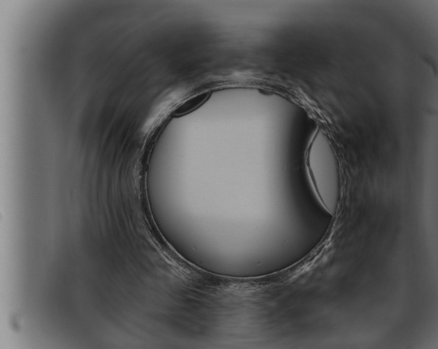 X0000093470341200710121015