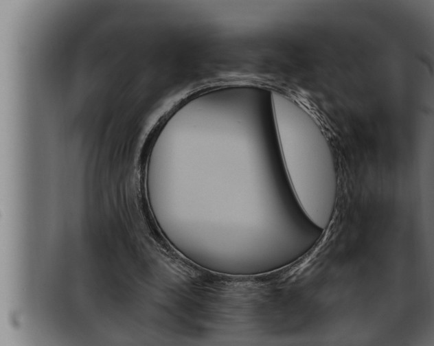 X0000093470342200710121015
