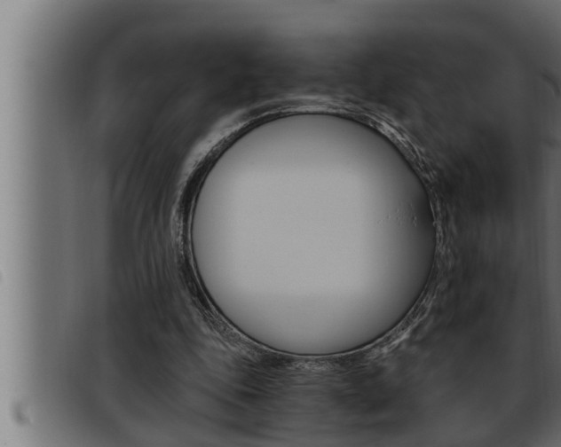 X0000093470343200710121015