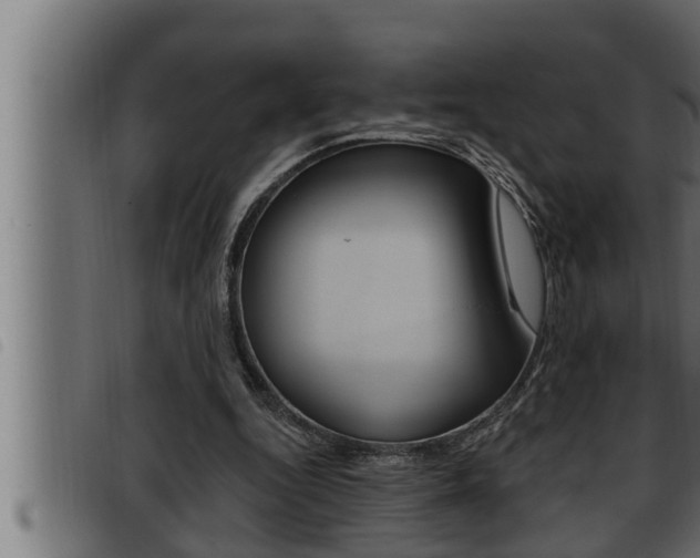 X0000093470344200710121015