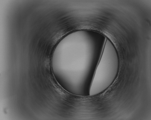X0000093470345200710121015