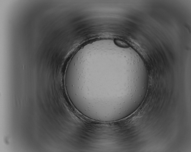 X0000093470347200710121015