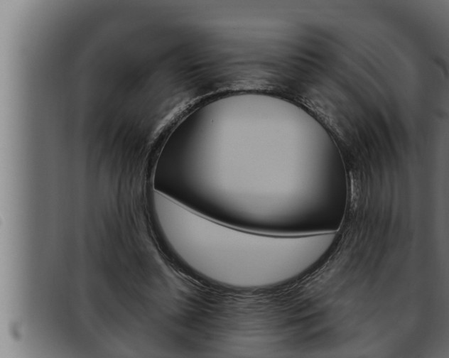 X0000093470348200710121015
