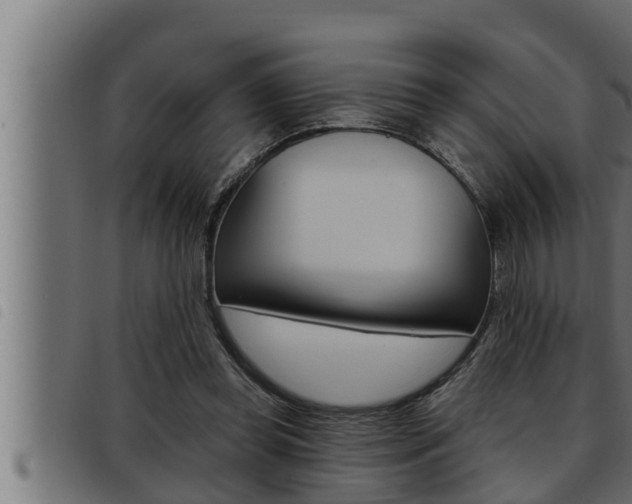 X0000093470349200710121015