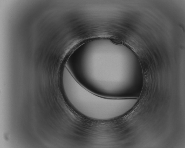 X0000093470350200710121015