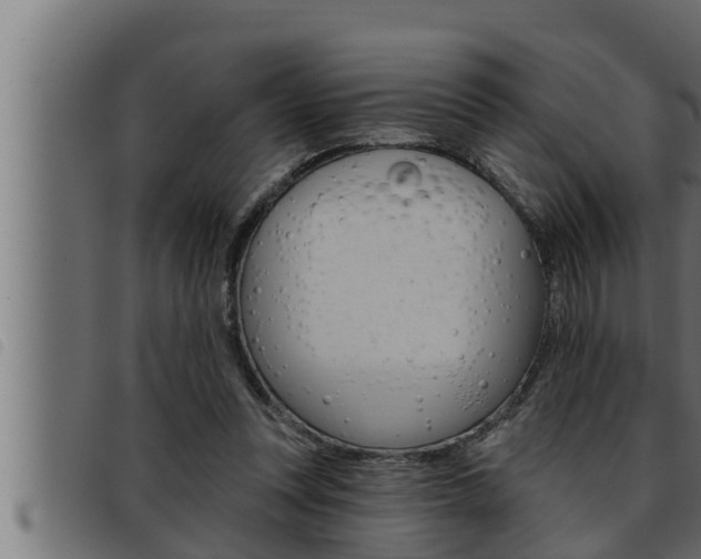 X0000093470351200710121015