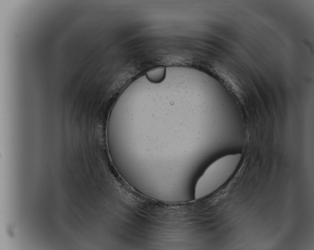 X0000093470353200710121015
