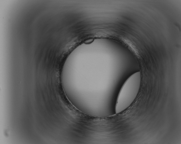 X0000093470354200710121015