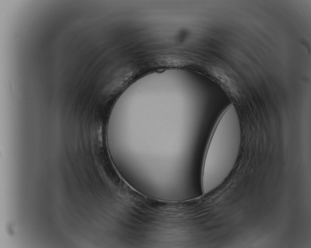 X0000093470358200710121015