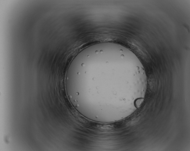 X0000093470359200710121015