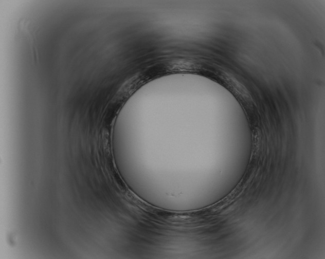 X0000093470361200710121015