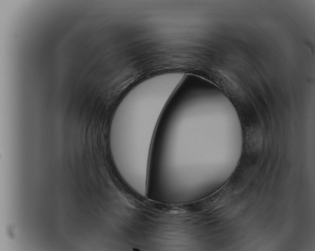 X0000093470364200710121016