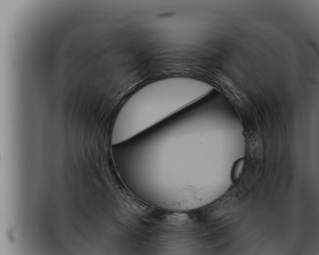 X0000093470374200710121016
