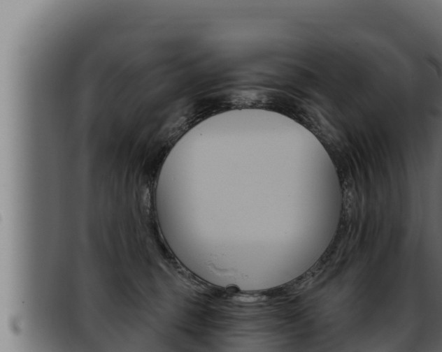 X0000093470375200710121016