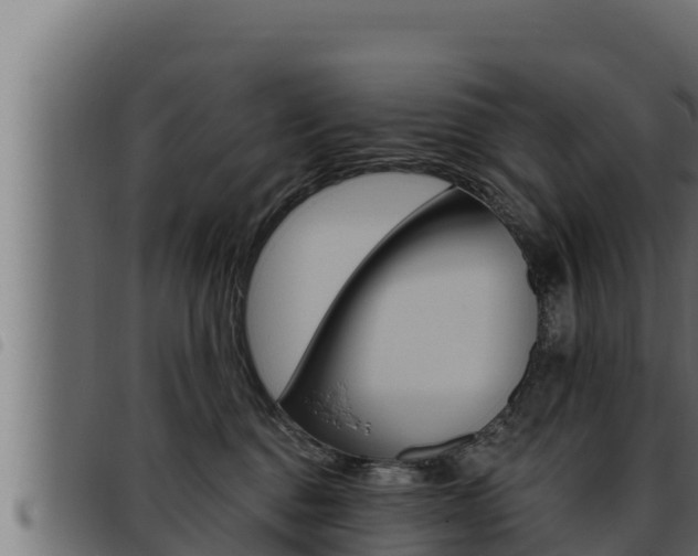 X0000093470376200710121016