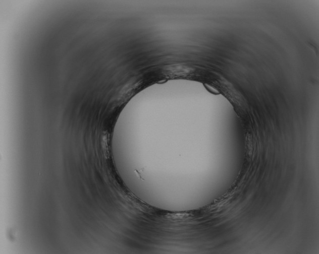 X0000093470378200710121016