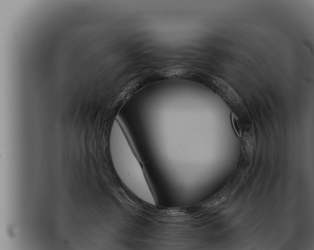 X0000093470380200710121016