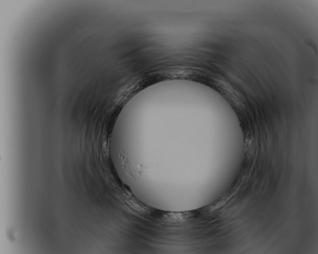 X0000093470381200710121016