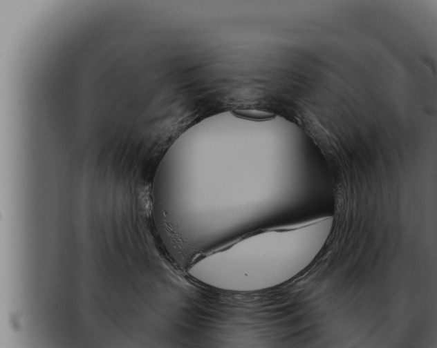 X0000093470383200710121016