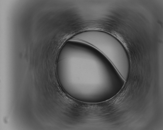 X0000093470385200710121015