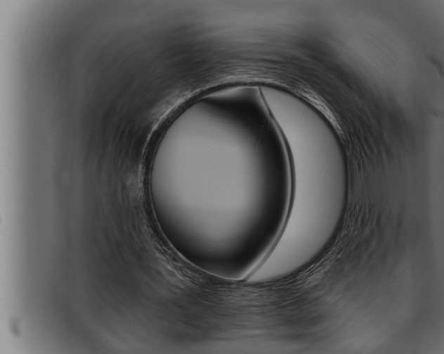 X0000093470387200710121015