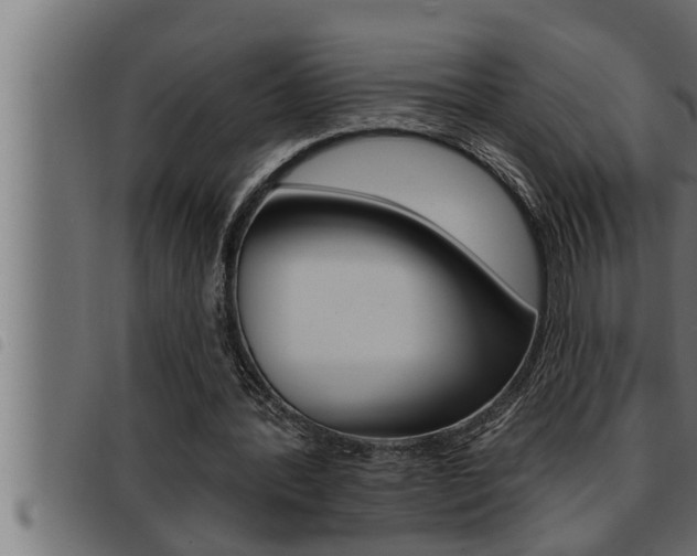 X0000093470388200710121015