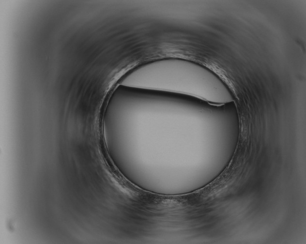X0000093470390200710121015