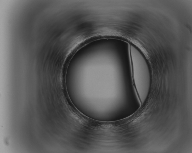 X0000093470391200710121015