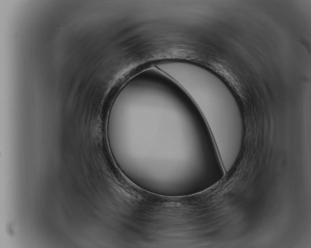 X0000093470392200710121015