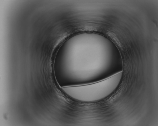 X0000093470395200710121015