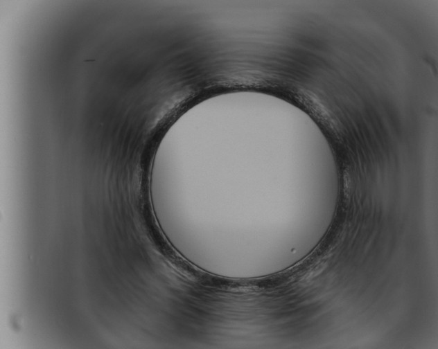 X0000093470396200710121015