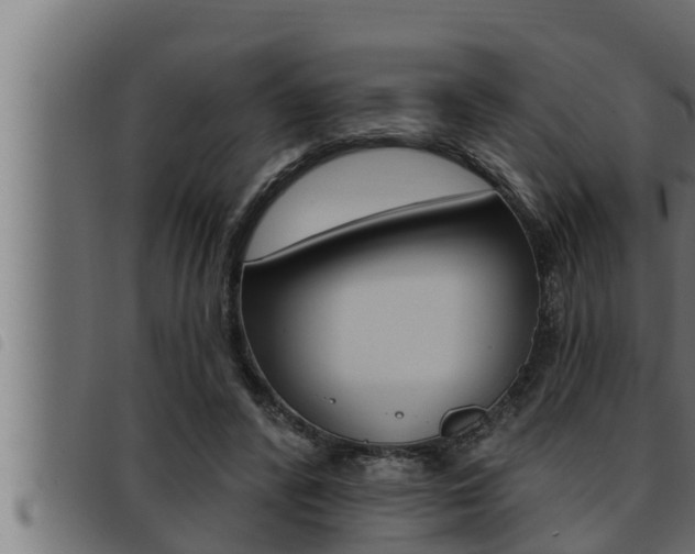 X0000093470400200710121015