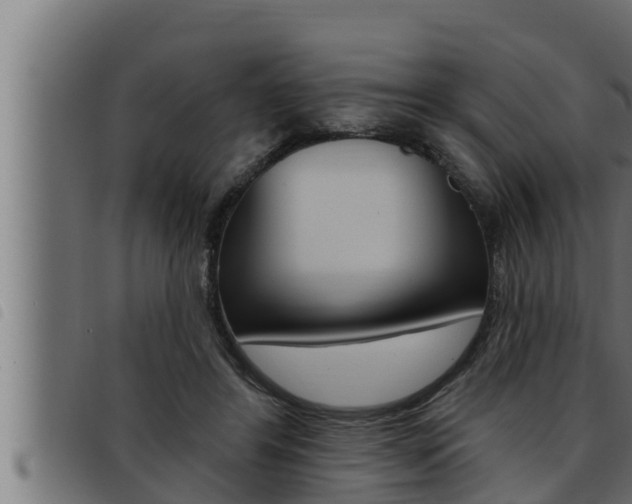 X0000093470404200710121015