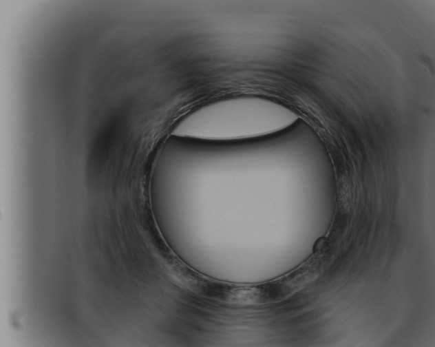 X0000093470410200710121015