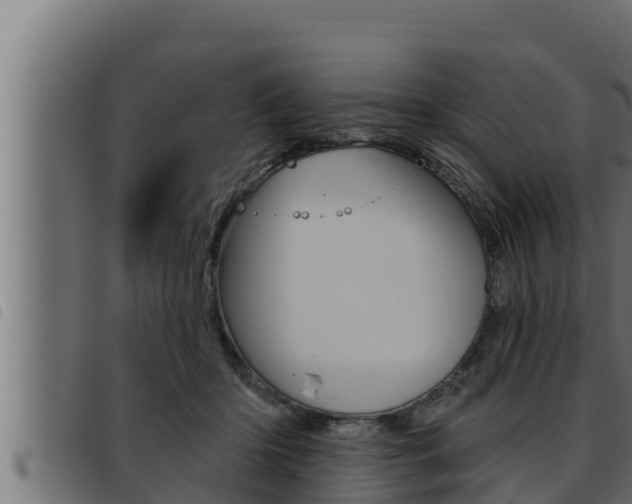 X0000093470414200710121015