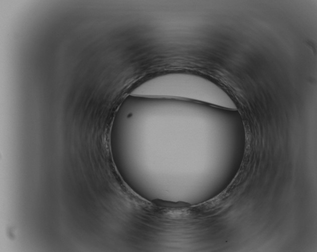 X0000093470415200710121015