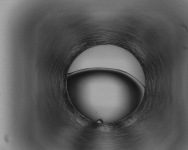 X0000093470416200710121015