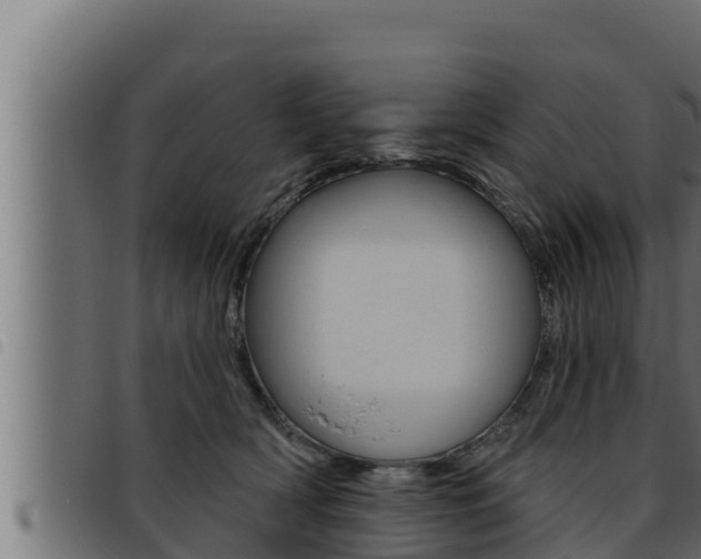 X0000093470418200710121015
