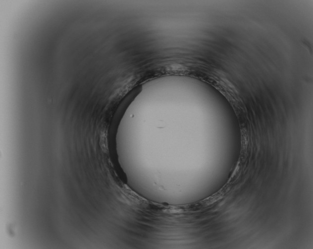 X0000093470419200710121015
