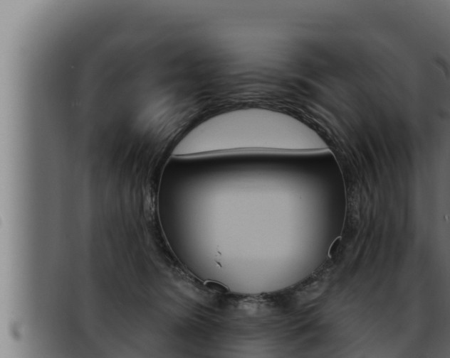 X0000093470420200710121015