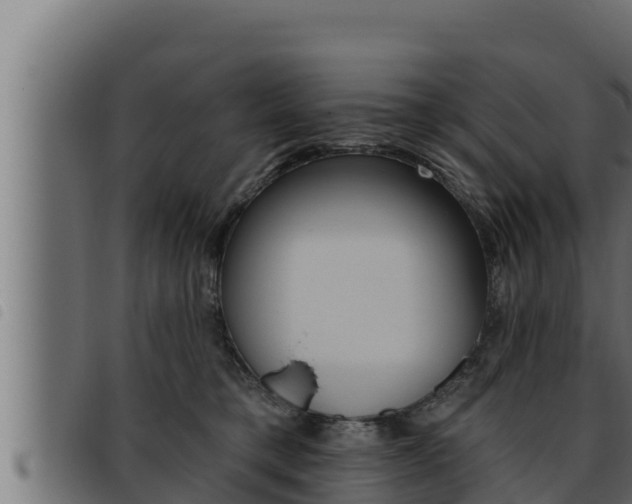 X0000093470421200710121015