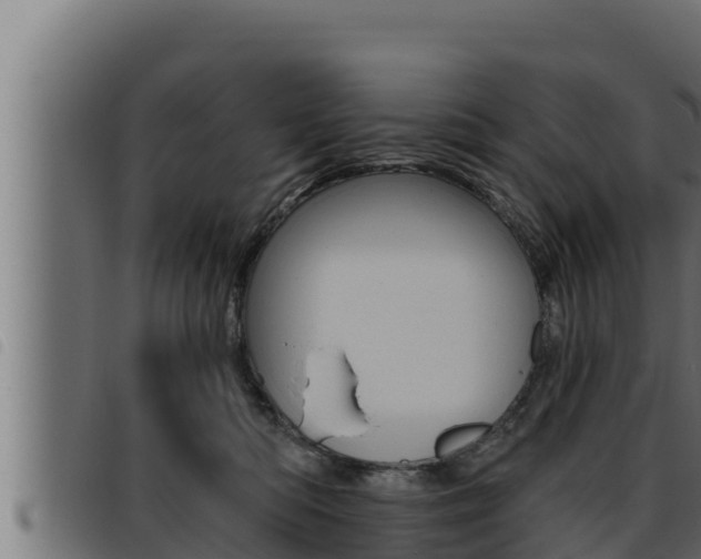 X0000093470422200710121015