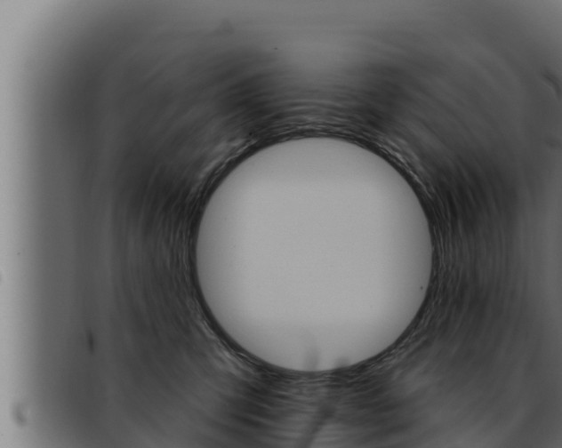 X0000093470423200710121015
