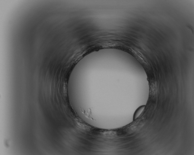 X0000093470426200710121015