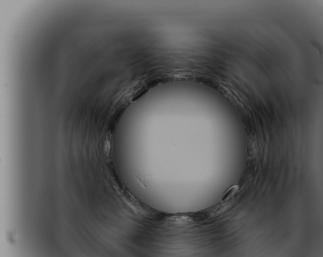 X0000093470427200710121015