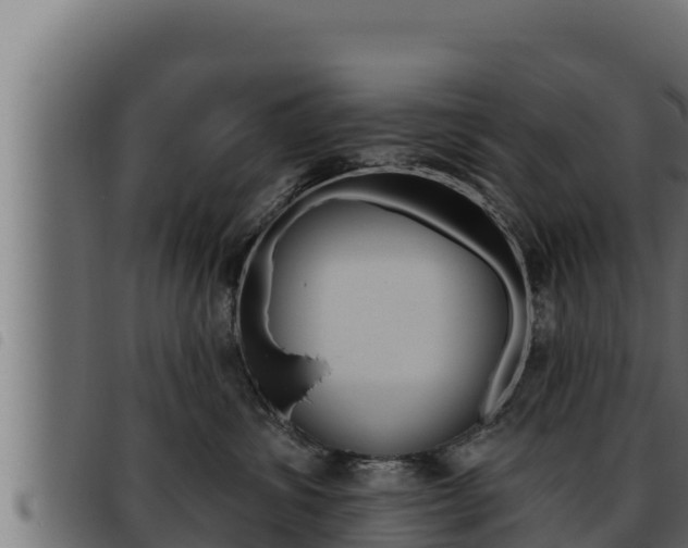 X0000093470428200710121015