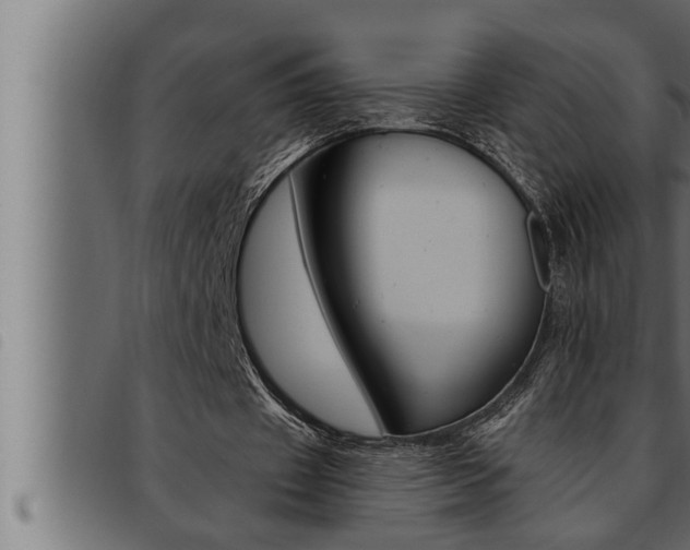 X0000093470433200710121014