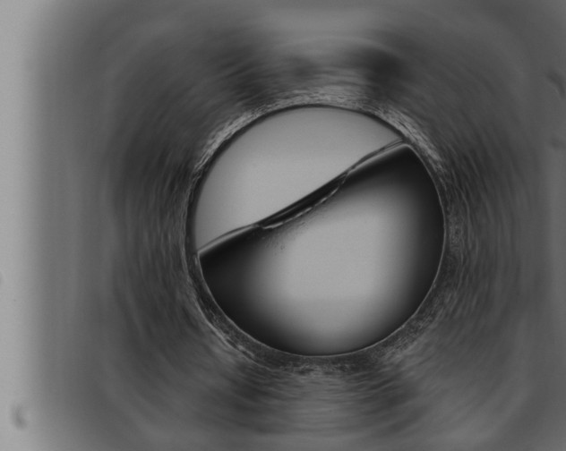 X0000093470434200710121014